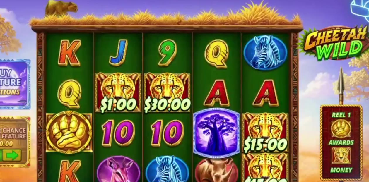 Cheetah Wild game screen