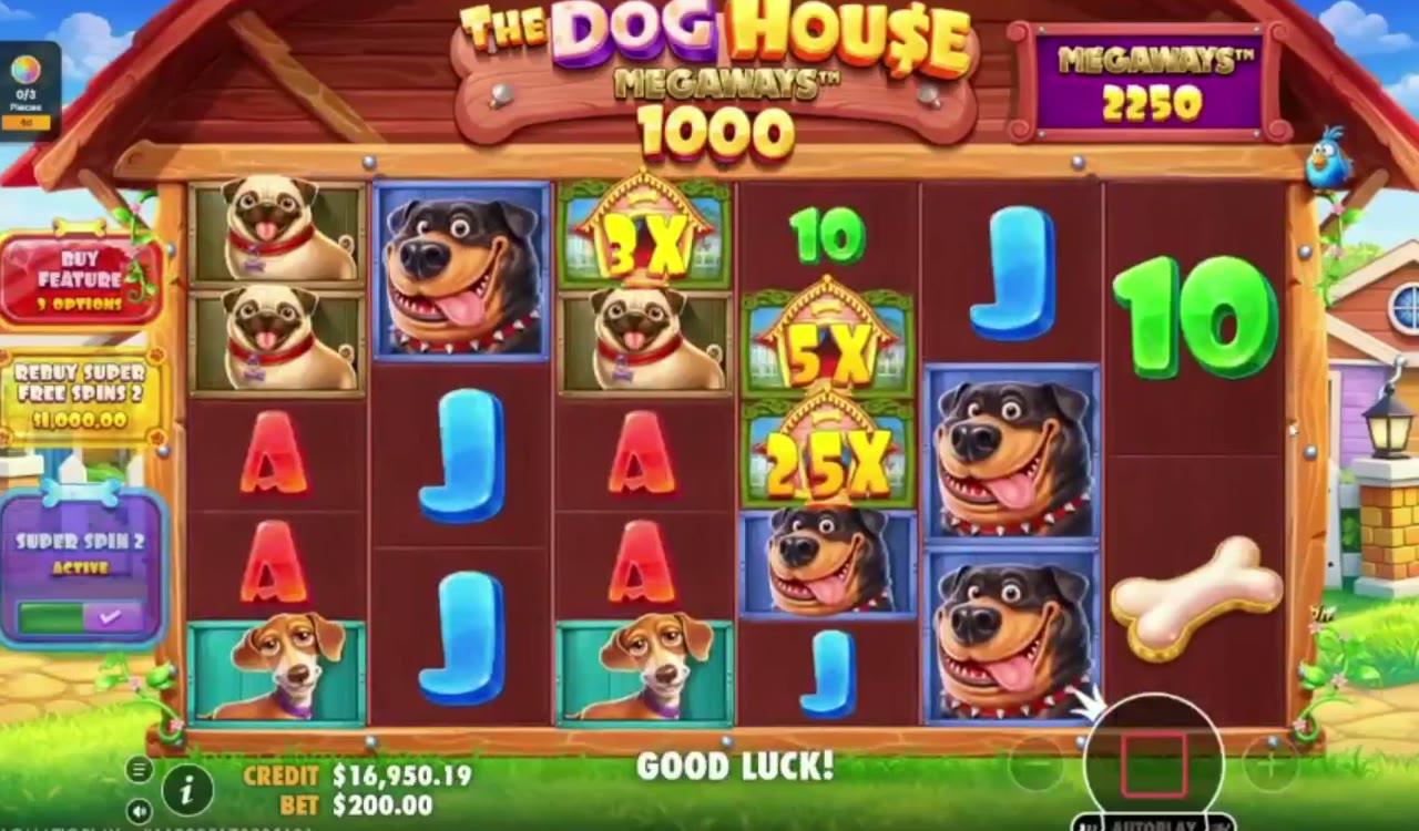 The Dog House Megaways 1000 game screen