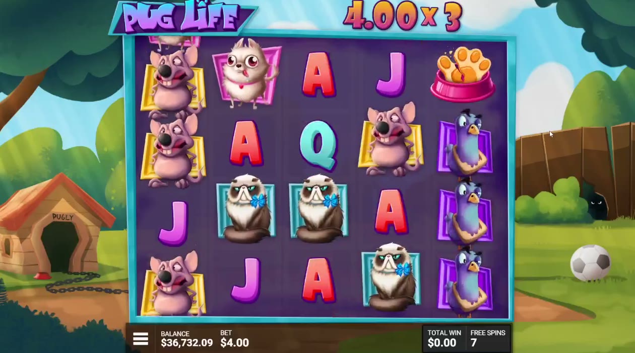Pug Life