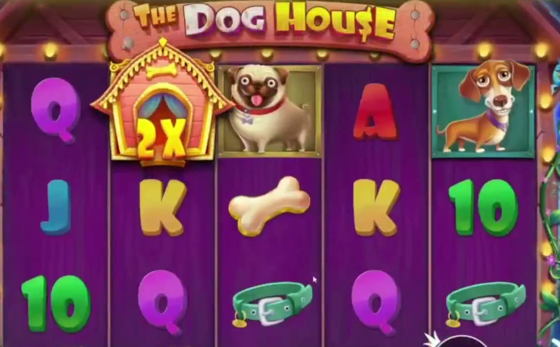 The Dog House game screen
