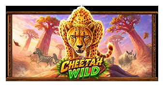 Cheetah Wild official artwork